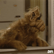 TV show hello reaction GIF sample